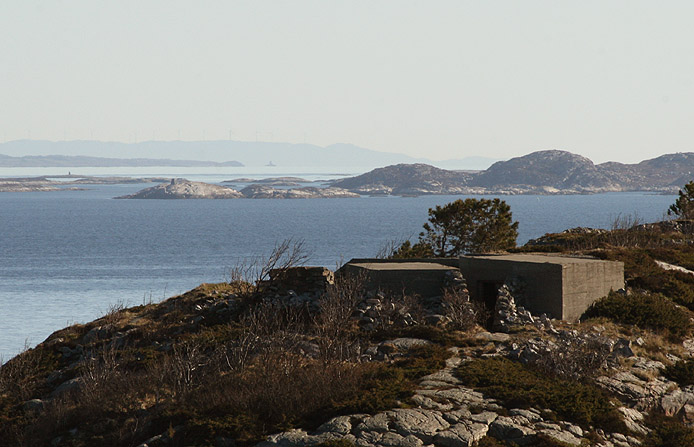 flo_5_bunker_tubn flo_5_bunker_tubn